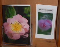 GalleriKortflyer