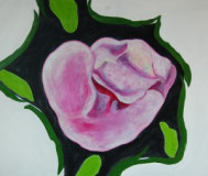 LangstilketFilt-Rose