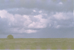 Analog2