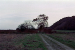 OlympusGlfilm