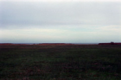OlympusGlfilm2