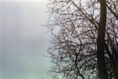 OlympusGlfilm4