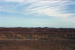 OlympusGlfilm5
