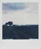 Polaroid3