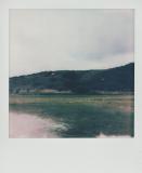 Polaroid6