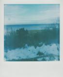 Polaroid7